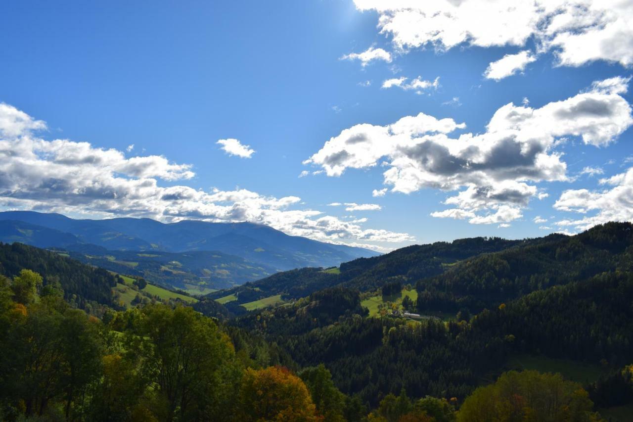 Schleinzer *